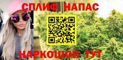 гашик Славянск-на-Кубани